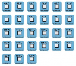 922519c9-d3f2-11ef-9d2f-000c29e1040d