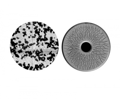 photo_2025-01-13_14-46-55